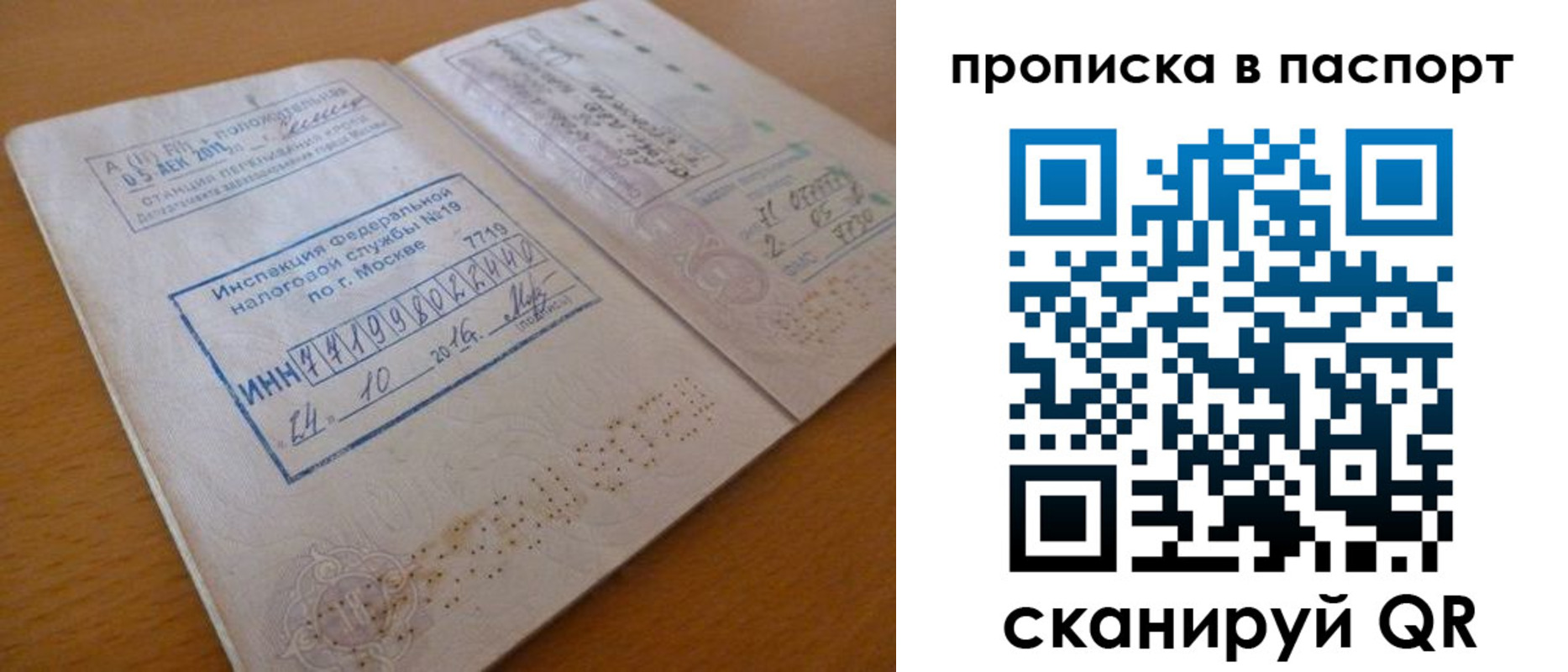 купить прописку в Светлогорске