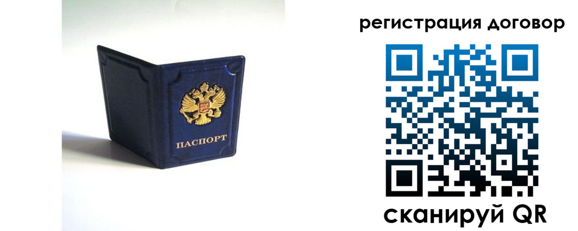 где прописаться в Светлогорске